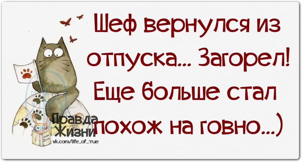 Отпуск закончился картинки прикольные с надписями