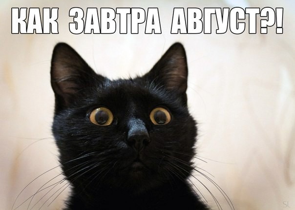 Ножами, 1 августа картинки смешные