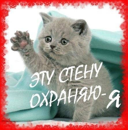 Отличного, картинки с надписью мою страницу охраняет