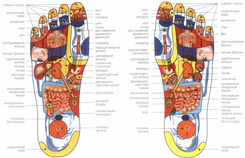 За что отвечают стопы ног точки фото