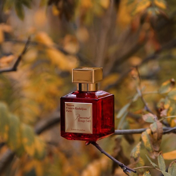 🔸Baccarat Rouge 540 Extrait de Parfum Maison Francis Kurkdjian:
«Baccarat Rouge 540» от Maison Francis Kurkdjian обязательно берите в Extrait de Parfum. Между прочим, сколько бы его ни ругали, он остаётся очень популярным у женщин. Стойкий, шлейфовый -- все, что сейчас любят. Пахнет ванилью и шафраном, амброй и миндалем, хвоей и жасмином. И земляникой еще пахнет… Некоторым в «Baccarat Rouge 540» что-то неприятное чудится (из-за нотфы шафрана), но это уж как повезет. Мне этот парфюм кошмарным не кажется. Главное – запах настолько сильный, что способен разогнать ноябрьскую хмарь в настроении. Под ним можно скрыть все то грустное, чем пахнет наше уныние в этот промозглый месяц.
Baccarat Rouge 540 принадлежит к группе восточные цветочные.
Верхние ноты: Горький миндаль и Шафран;
Средние ноты: Египетский жасмин, Кедр и Роза;
Базовые ноты: Серая амбра, Древесные ноты, Мускус и Карамель.