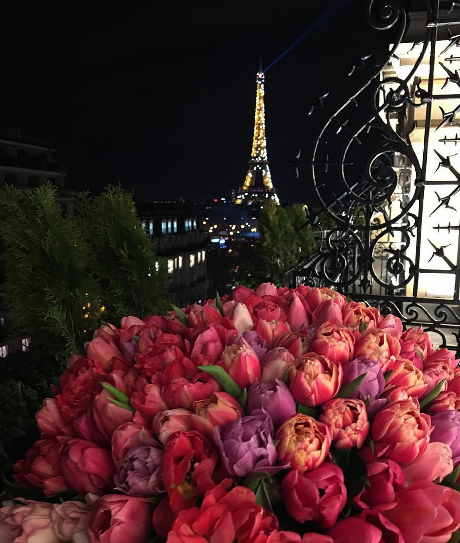 Роза Огни Парижа