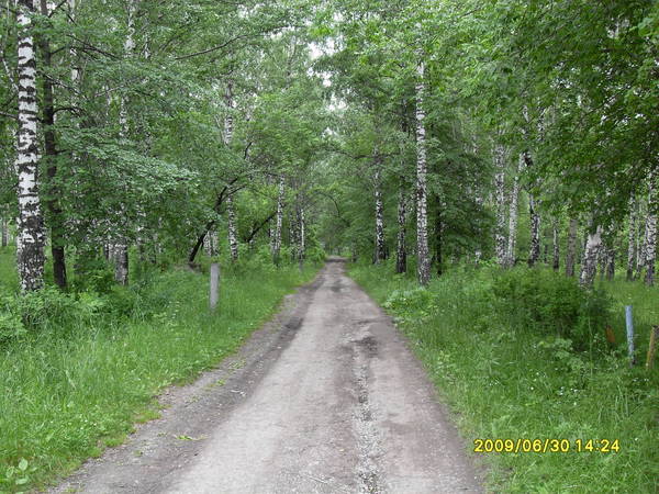 Тырганский парк прокопьевск фото