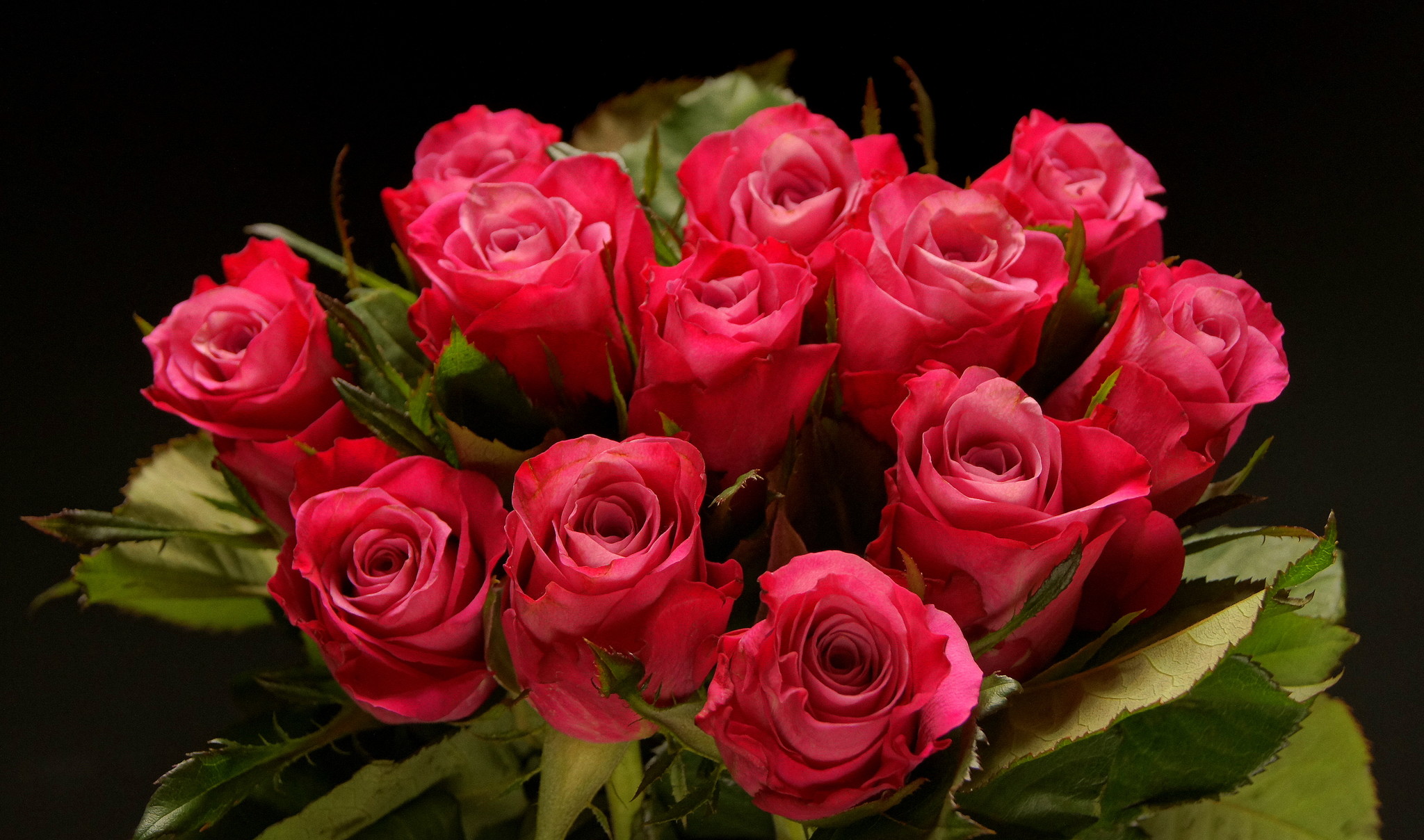 Женская розочка. Шикарные цветы. Цветы для любимой женщины. Красивый букет роз.