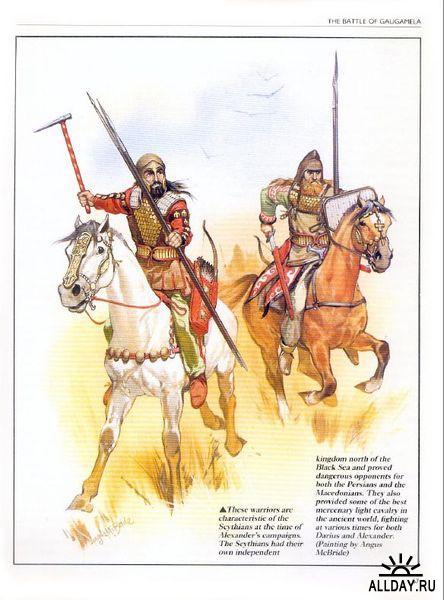 Блок скифы картинки