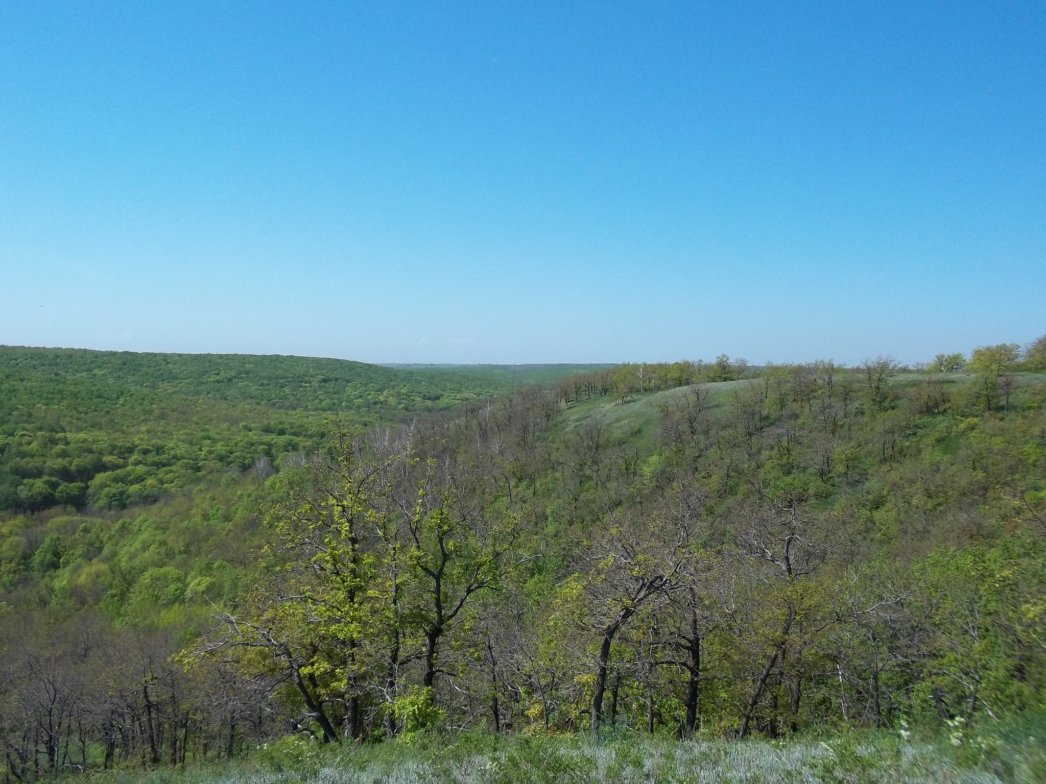 кудеярова гора саратовская область